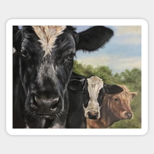 Three Amigos cow painting Sticker